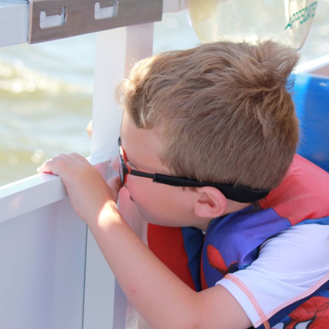 dolphin cruise gulf shores al