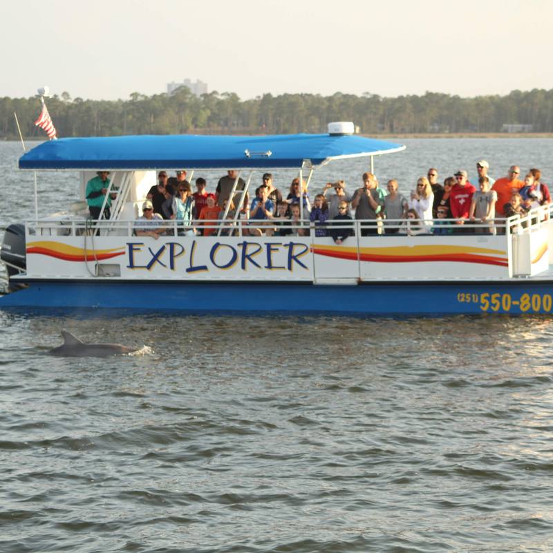 dolphin cruise gulf shores al