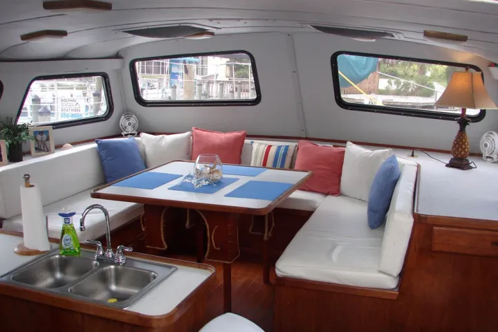 cetacean cruises gulf shores