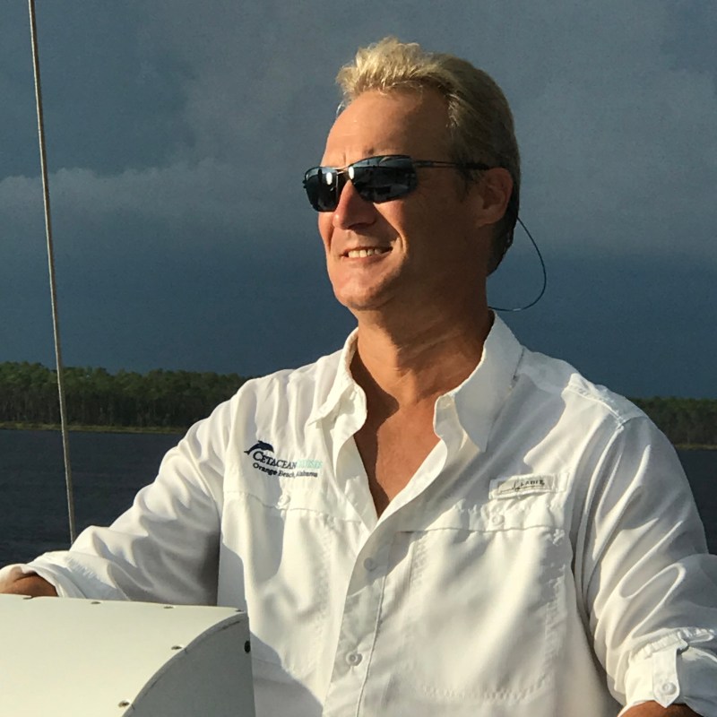 dolphin cruise gulf shores