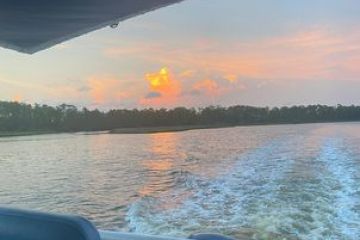 sunset dolphin and nature cruise