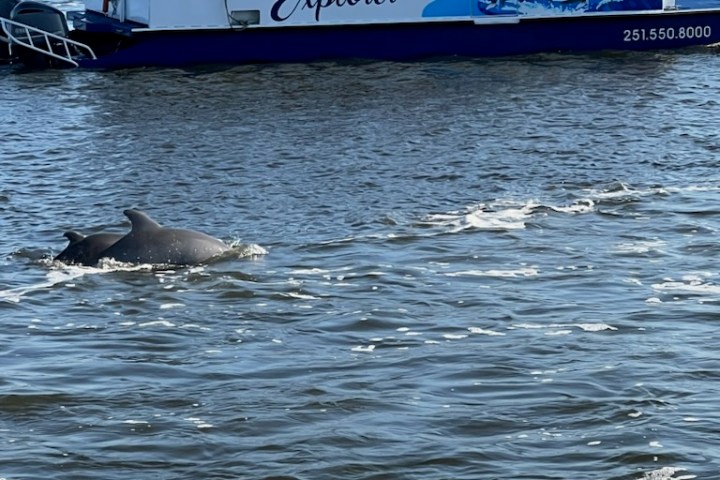 a group of people on a boat in a large body of water