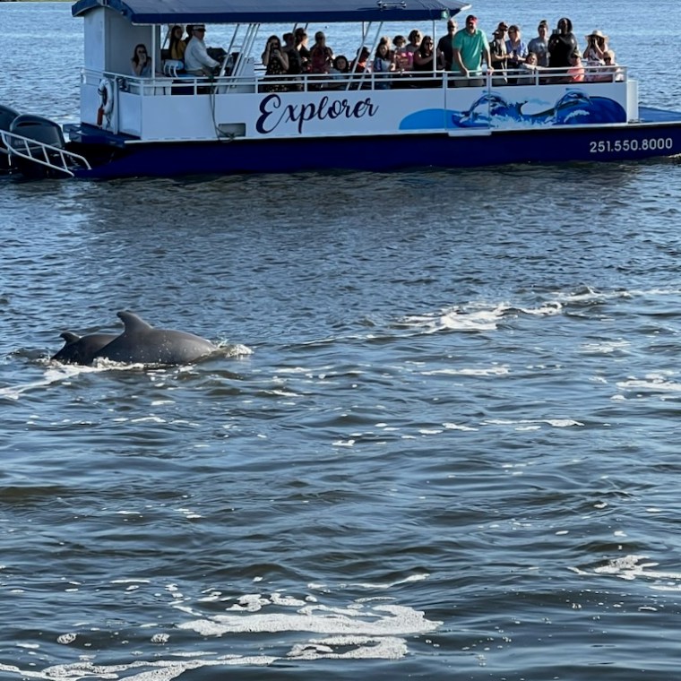 a group of people on a boat in a large body of water