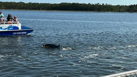 a group of people in a boat on a body of water