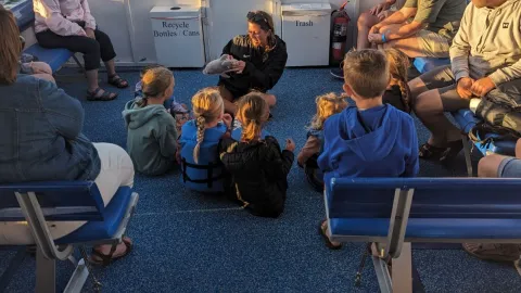 a group of people sitting at a beach