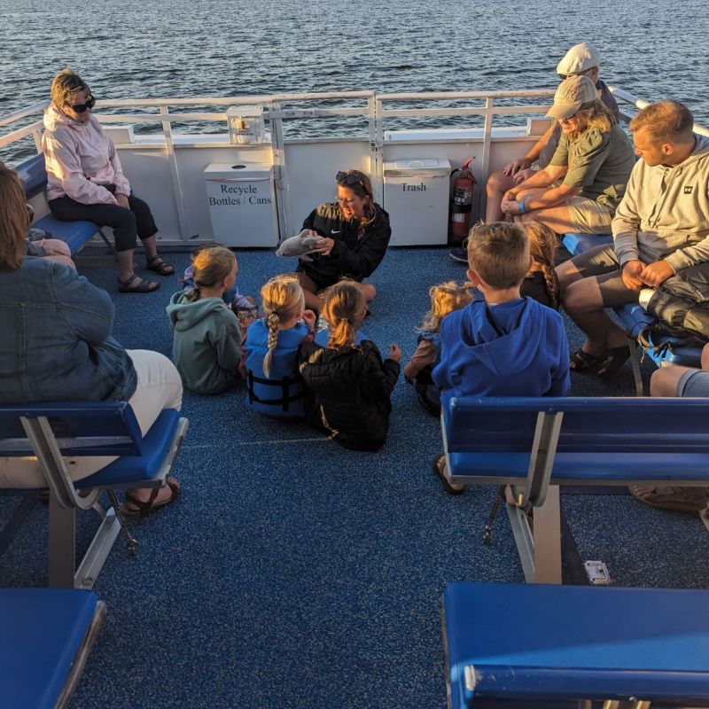 a group of people sitting at a beach