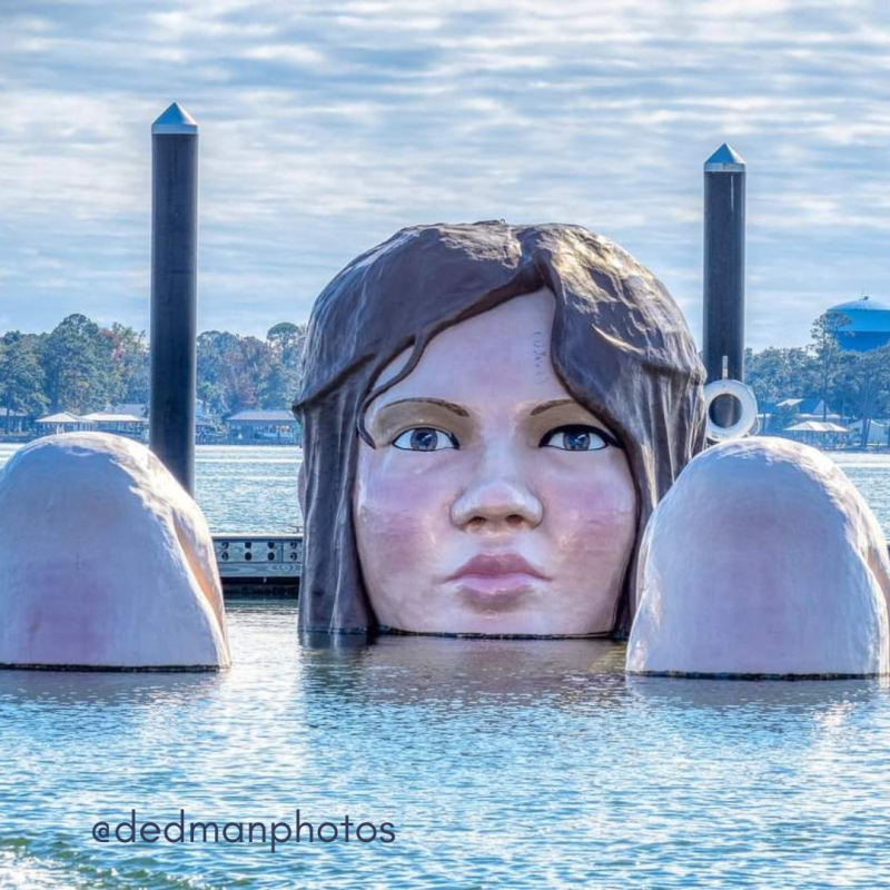 lady in the bay wolf bay